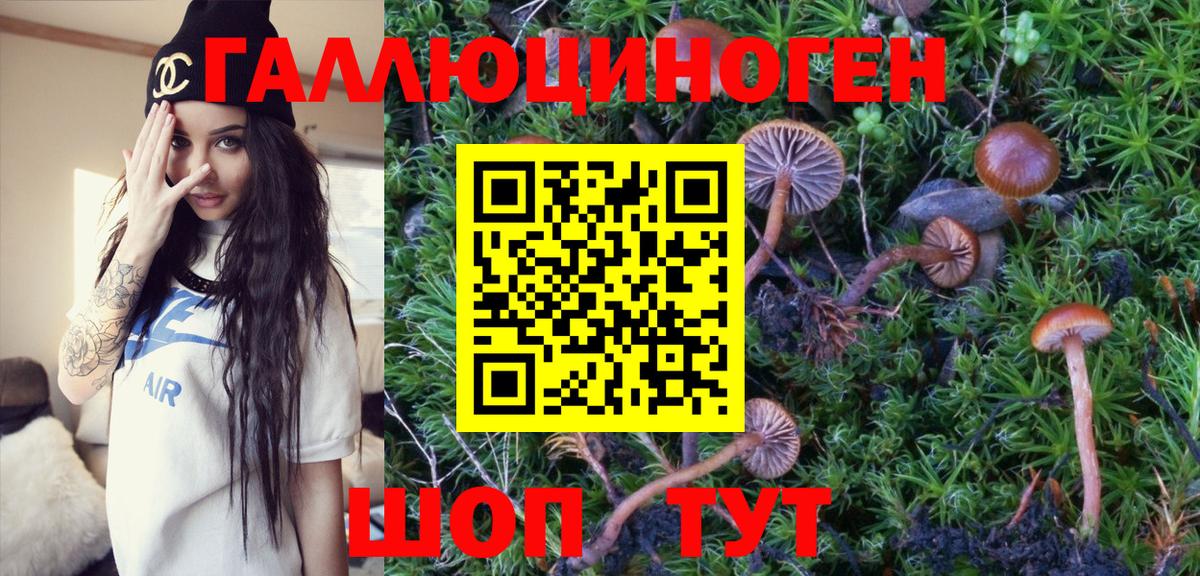 Кунгур  что такое наркотик  Вход с VPN  Псилоцибиновые грибы Psilocybe  Псилоцибиновые грибы Psilocybine cubensis 